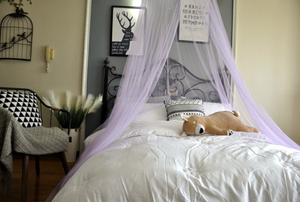 Round Hoop Bed Canopy Mosquito Net