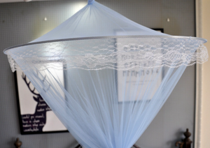 Round Hoop Bed Canopy Mosquito Net